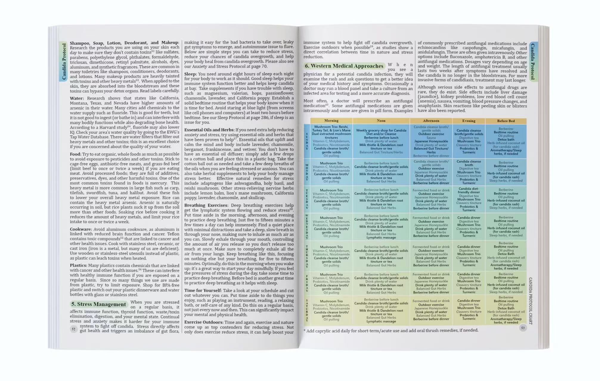 The Holistic Guide To Wellness - Herbal Wellness For You review and price